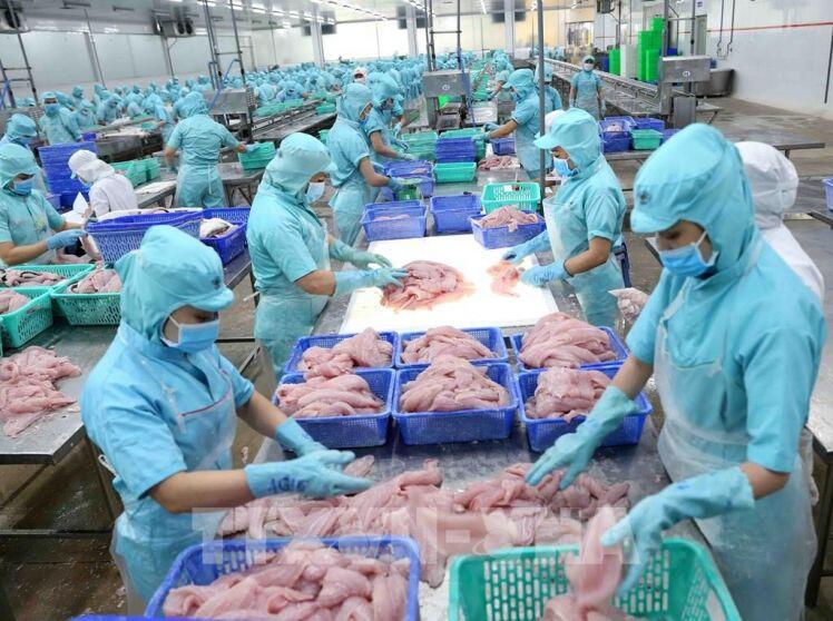 Cổ phiếu thủy sản bước vào giai đoạn phục hồi?