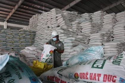 Xuất khẩu phân bón tăng mạnh trong bối cảnh giá nội địa lên cao