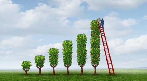 Giao dịch chứng khoán phiên sáng 24/6: CTG hút tiền sau tin tăng vốn