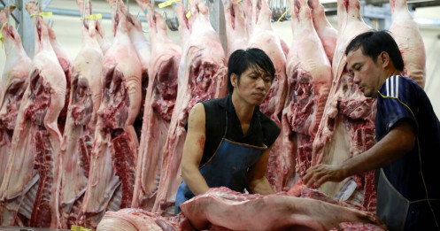 Khẩn: Dừng tập kết giao hàng trực tiếp tại chợ đầu mối Hóc Môn