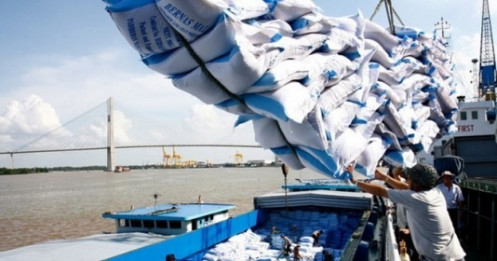 Chưa đủ thông tin khẳng định gạo Ấn Độ 'đội lốt' gạo Việt Nam