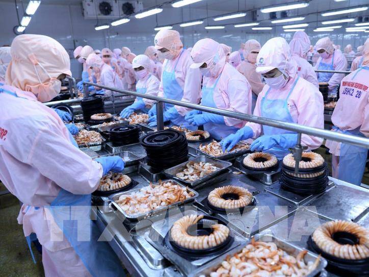 “Vua tôm” Minh Phú liệu có đạt mục tiêu kinh doanh đầy tham vọng?