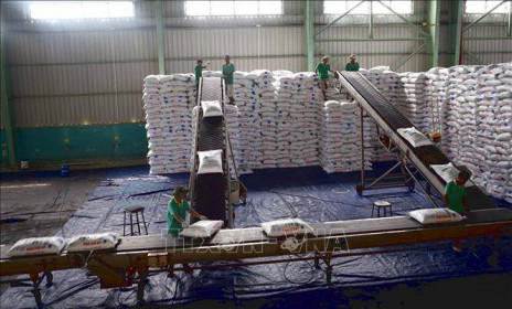 Doanh nghiệp trong nước chung tay 'hạ nhiệt' giá phân bón