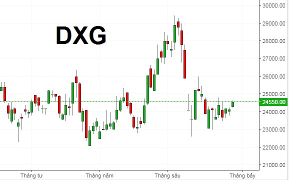 DXG muốn mua 805 triệu cổ phiếu của Bất động sản Hà An