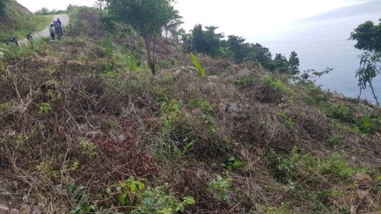 Sai phạm tại Ban Quản lý rừng Kiên Giang: Trách nhiệm thuộc về ai?