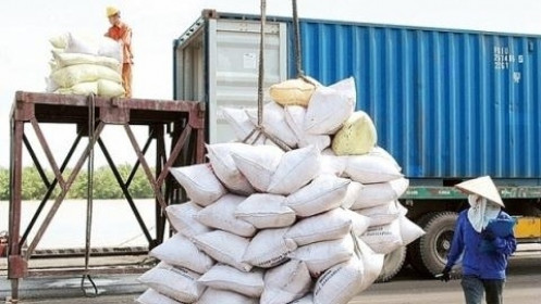 Lo ngại gian lận, Bộ Công thương kiểm tra 5 doanh nghiệp xuất nhập khẩu gạo