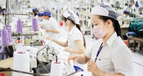 Tổng Công ty may Nhà Bè đặt kế hoạch kinh doanh thụt lùi