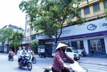 "Mẹ - con" Vinafor (VIF) giằng co đất vàng