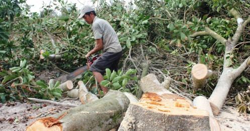 Nông nghiệp Việt Nam đang đứng trước "3 biến"