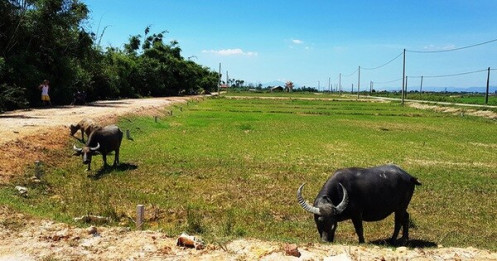 Giá nhà đất ở Huế tăng đột biến
