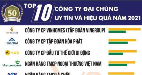 Top 10 công ty đại chúng uy tín và hiệu quả 2021