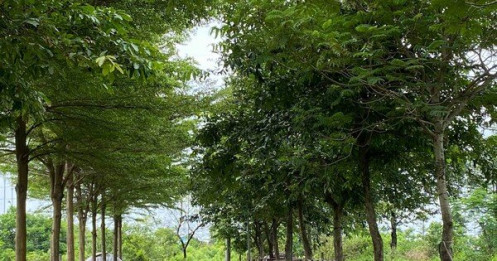 Nằm 'bất động' nhiều năm, đất Mê Linh bất ngờ được hà hơi đẩy giá