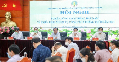 Bất chấp COVID-19, tăng trưởng nông nghiệp 'đạt đỉnh' sau 10 năm