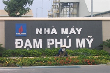 Kiểm toán Nhà nước điều chỉnh tăng 34% lãi sau thuế 2020 cho DPM