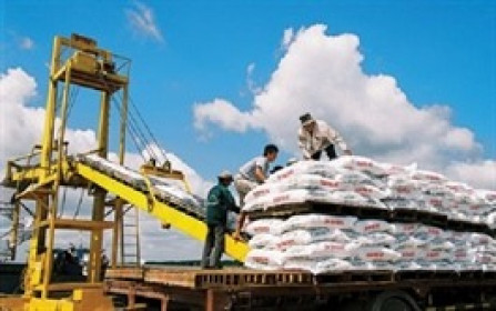 PSE vượt 46% kế hoạch lợi nhuận sau 6 tháng đầu năm