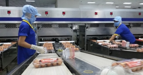 Doanh nghiệp vừa làm vừa canh COVID-19