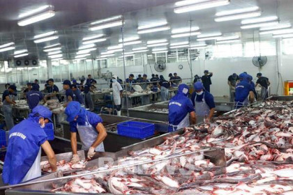 Xuất khẩu cá tra sang EU vẫn tiếp đà giảm