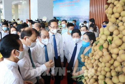 Kết nối cung cầu tiêu thụ nhãn và nông sản tỉnh Hưng Yên