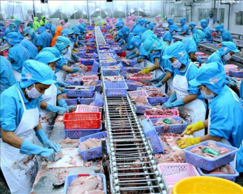 Nhà xuất khẩu được phép tự chứng nhận xuất xứ hàng hóa