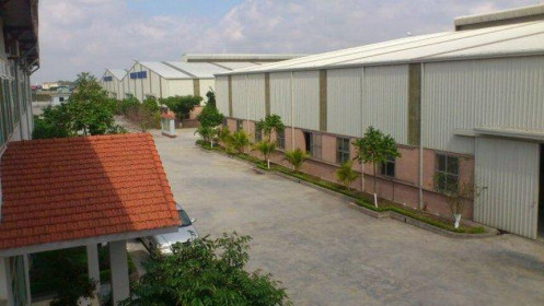 Nợ “ngập đầu”, CTCP Cửu Long bị phát mại nhà máy chế biến gỗ
