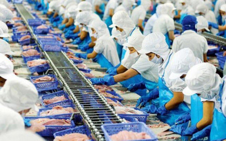 Vĩnh Hoàn (VHC): Doanh thu tháng 6 tăng 15% nhưng cổ phiếu lại lao dốc