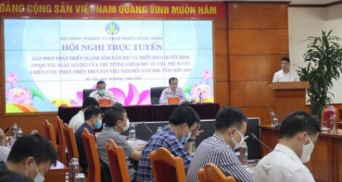 Xuất khẩu tôm sáu tháng đầu năm đạt 1,5 tỷ USD