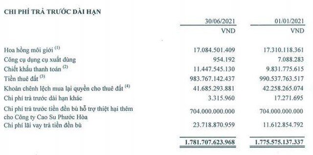 Khu công nghiệp Nam Tân Uyên (NTC): 6 tháng đầu năm, lợi nhuận tăng 15,7% lên 163,5 tỷ đồng