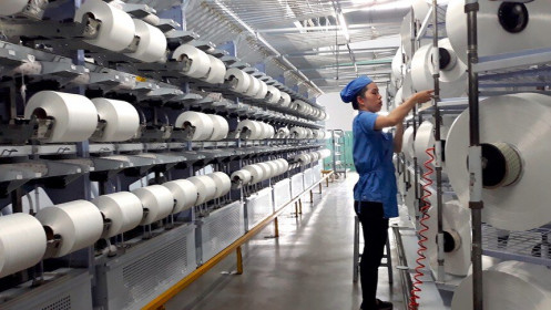 Sợi Thế Kỷ (STK): Nửa đầu năm báo lãi sau thuế hơn 140 tỷ đồng, tăng 156%