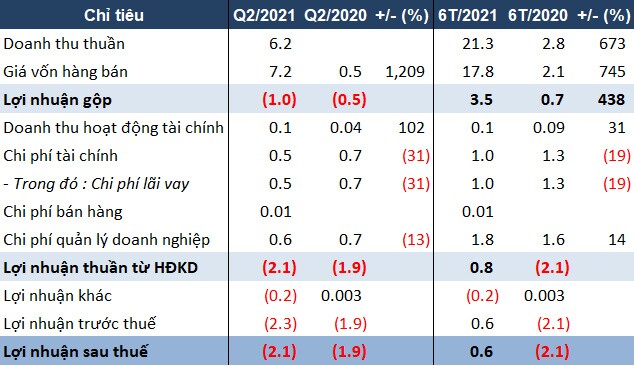 Kinh doanh dưới giá vốn, DPD lỗ hơn 2 tỷ đồng trong quý 2