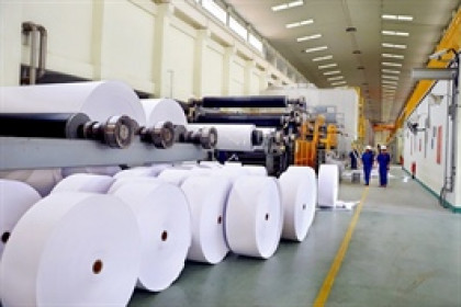 Hapaco: Lợi nhuận ròng quý 2 tăng 12%, tiền mặt giảm 80%