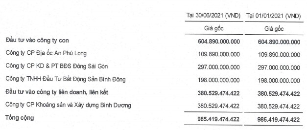 DRH báo lỗ trong quý 2 do lãi vay tăng và lãi công ty liên kết giảm mạnh