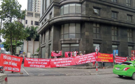 Cổ phiếu CIG lội ngược dòng tăng trần nhiều phiên, kết quả kinh doanh vẫn "bết bát"