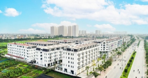 Cen Land lãi 251 tỷ đồng nửa đầu năm