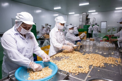 Standard Chartered dự báo tăng trưởng GDP của Việt Nam năm nay đạt 6,5%