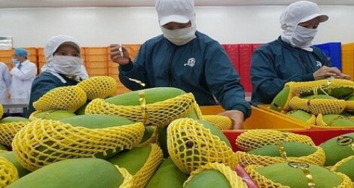 Xuất khẩu rau quả sẽ cán mốc 4 tỷ USD