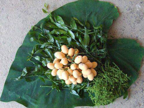 Hà Nội: Rau ngót 200.000 đồng/kg khiến ai cũng sửng sốt
