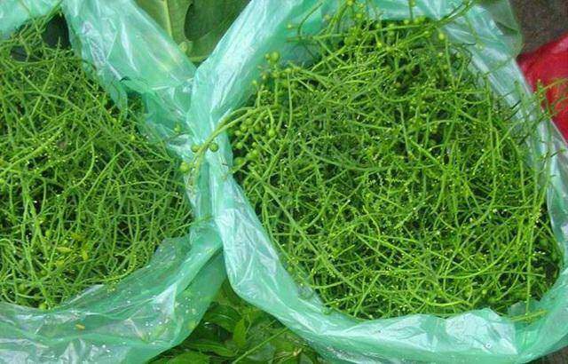 Hà Nội: Rau ngót 200.000 đồng/kg khiến ai cũng sửng sốt