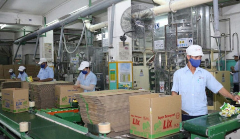 Cổ phiếu cần quan tâm ngày 21/7: IDC, LIX, PTB, STK