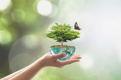 Thị trường tài chính 24h: Cơ hội với nhóm ngân hàng