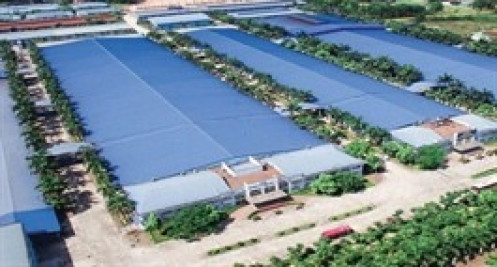 Giảm lãi từ công ty liên kết, IDV báo lãi quý 3 “đi lùi” 19%