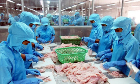 Vĩnh Hoàn (VHC): 6 tháng đầu năm 2021, lợi nhuận tăng 4,3% lên 392,2 tỷ đồng
