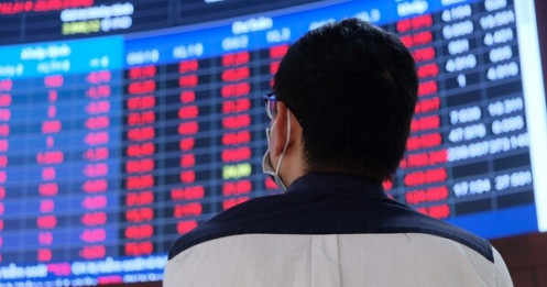 Chứng khoán trồi sụt thất thường, rủi ro đầu cơ và thao túng giá