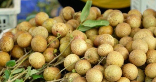 Hàng ngàn tấn trái cây rớt giá, chờ thương lái đến mua