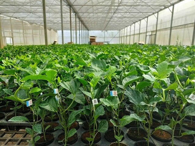 Bất chấp dịch bệnh, Nafoods Group đạt mức doanh thu tháng cao nhất từ trước tới nay