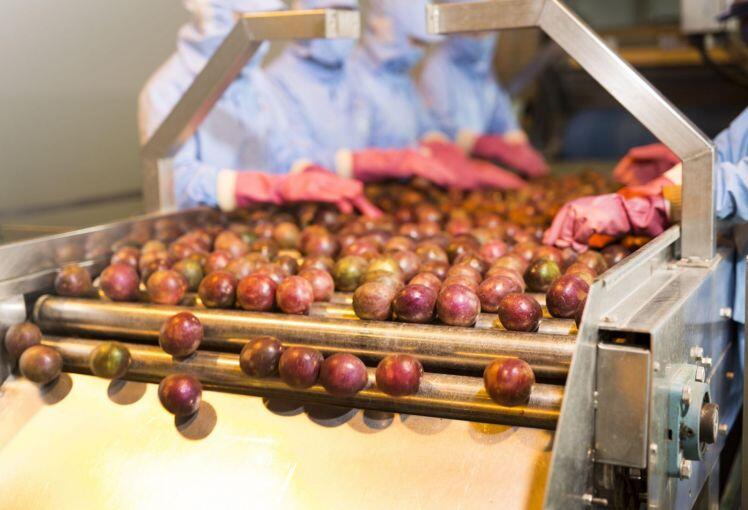 Bất chấp dịch bệnh, Nafoods Group đạt mức doanh thu tháng cao nhất từ trước tới nay