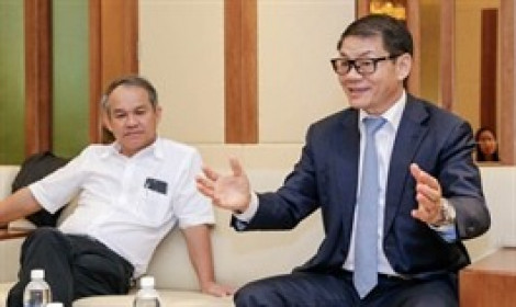 Tỷ phú Trần Bá Dương bất ngờ dừng đầu tư vào HNG