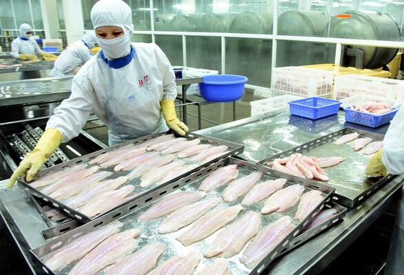 Xuất khẩu nông sản vẫn khởi sắc dù gặp nhiều khó khăn mùa dịch