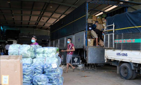Chuỗi cung ứng nông sản ở các tỉnh phía Nam cơ bản được khơi thông