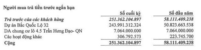 Phát triển đô thị Từ Liêm (NTL): Quý II/2021, lợi nhuận tăng 21,2% lên 51,4 tỷ đồng