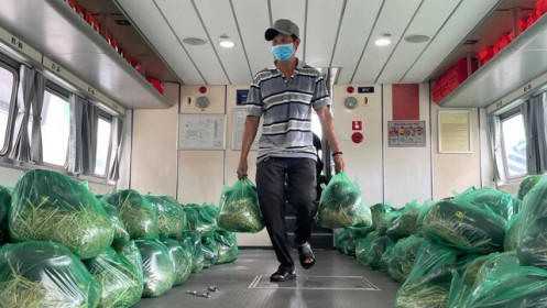 Ba doanh nghiệp chung tay hỗ trợ 25 tấn rau củ cho người dân TP.HCM